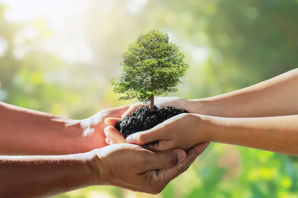 Green transition sostenibilità